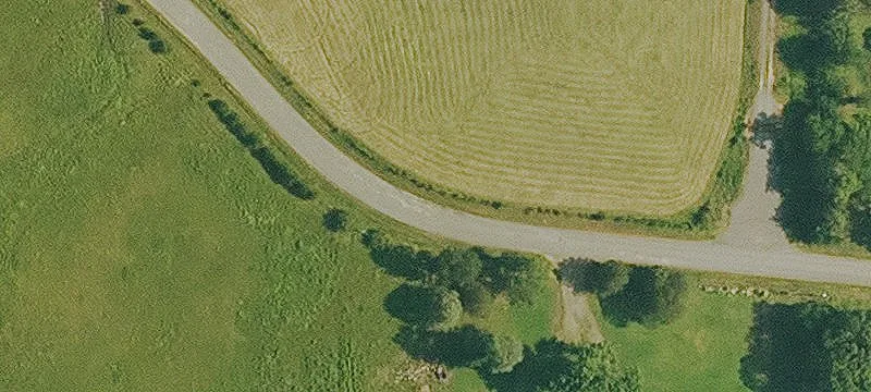Fenced Farmland Parcel