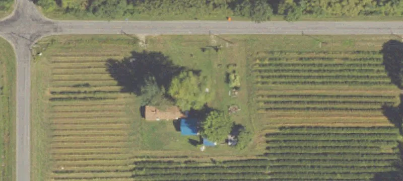 Farms Property with Barn and Stable