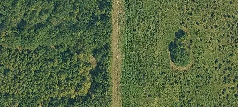 Agricultural Land