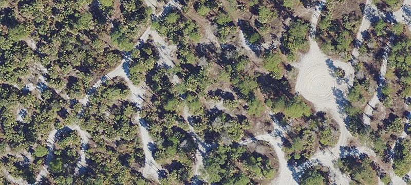 Five-Acre Agricultural Land Parcel