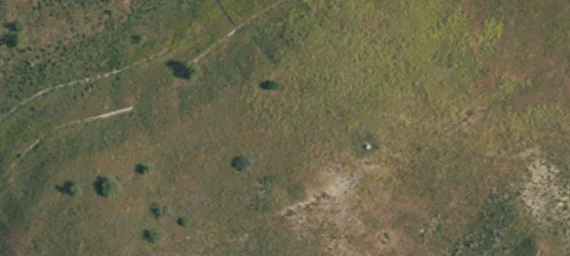LAND