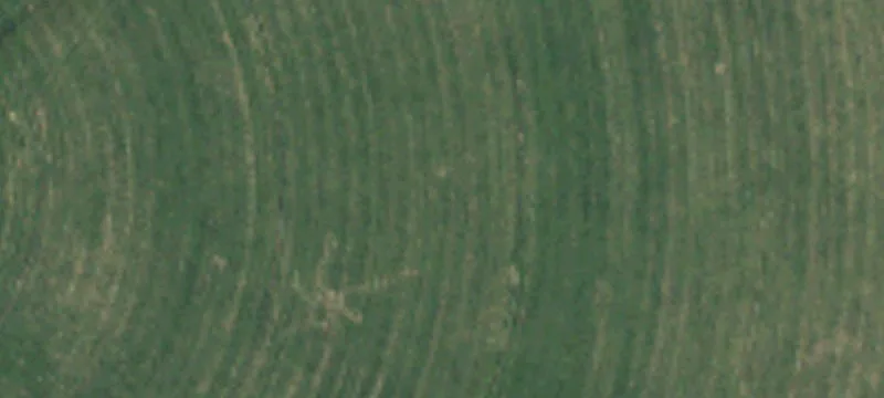 Center Pivot Irrigated Farm with Shop