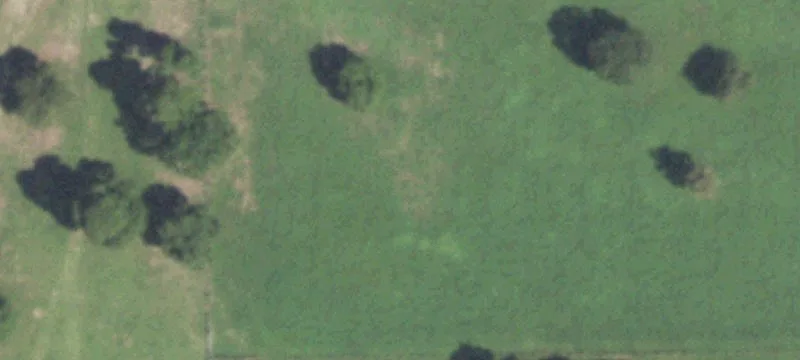 Private Hunting Land with Build-Ready Homesite