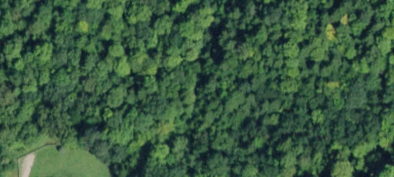 Hunting Land Tract