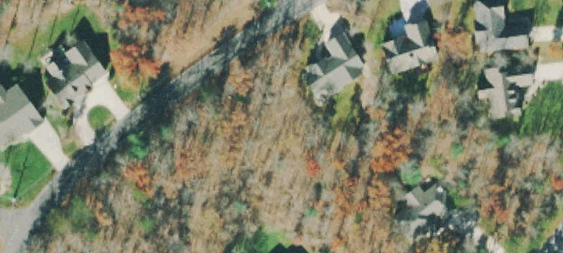 Specialty Property with Tree Coverage