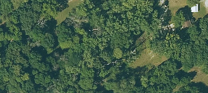 Recreational Lot with Electric