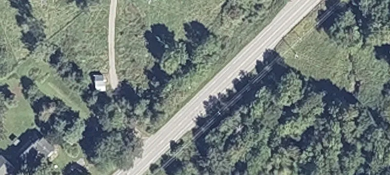 Hunting Land with Tree Growth