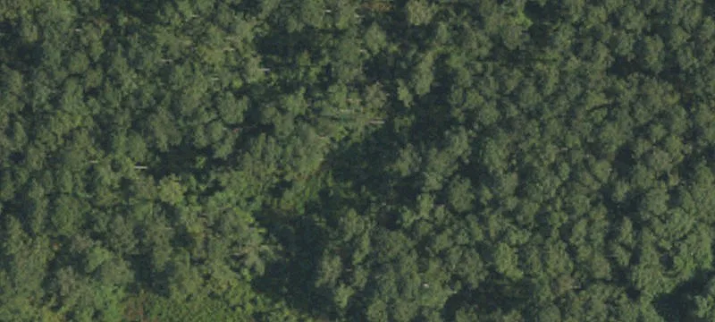 Land or Vacant Lot