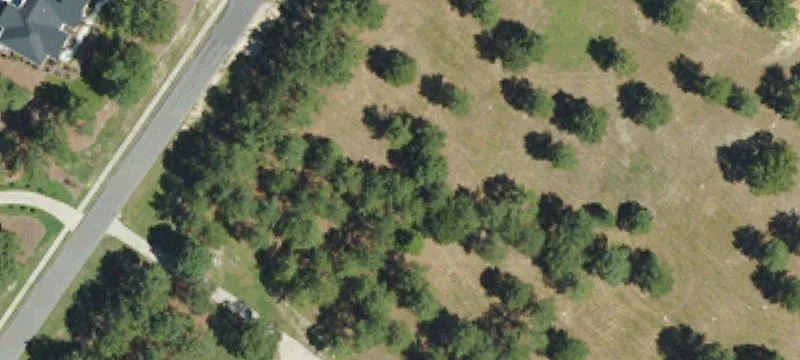 Land