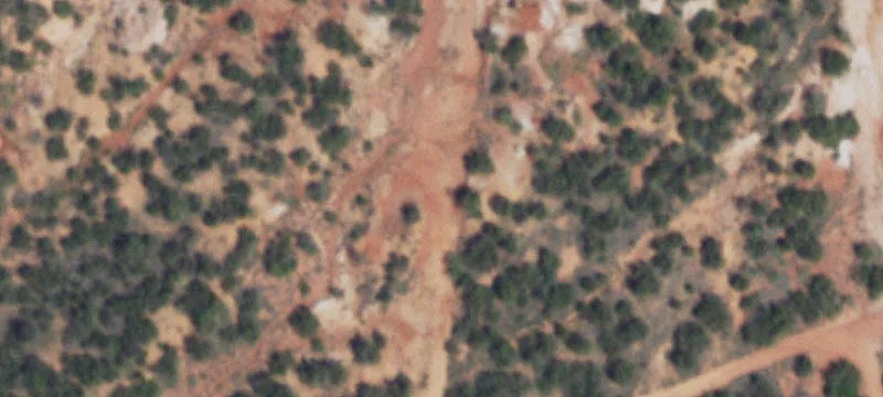 Native Pasture Hunting Land with Cabin