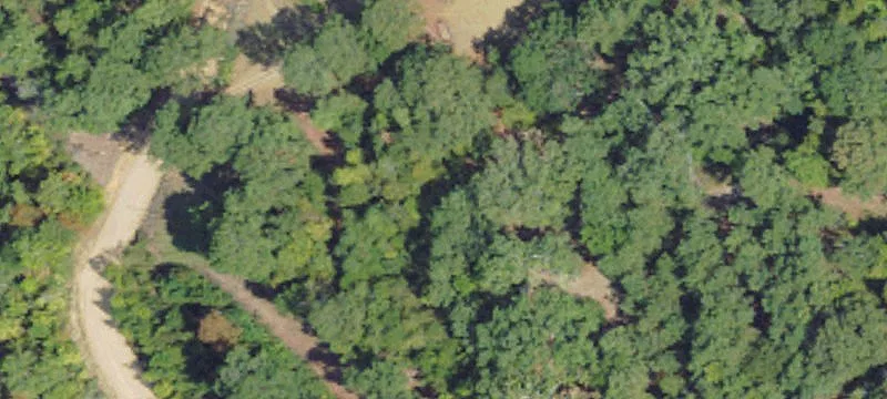 Hunting Land Tract