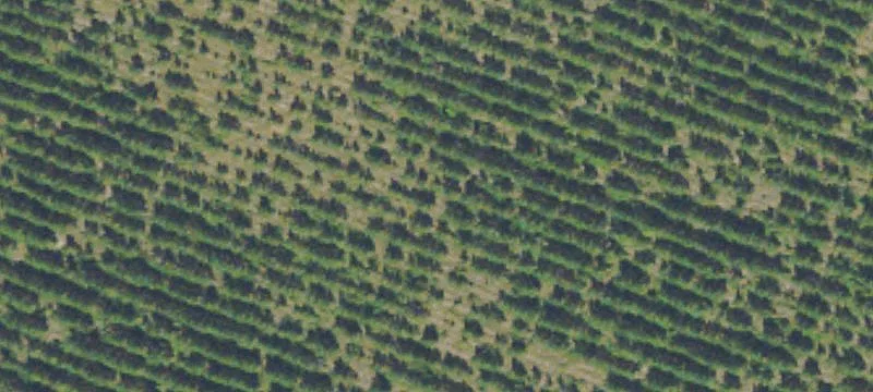 Land or Vacant Lot