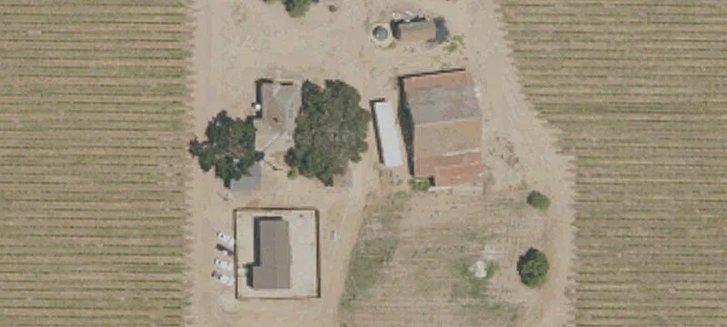 Ranch with Wine Grape Planting