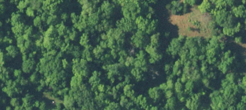 Partially Fenced Agricultural Land