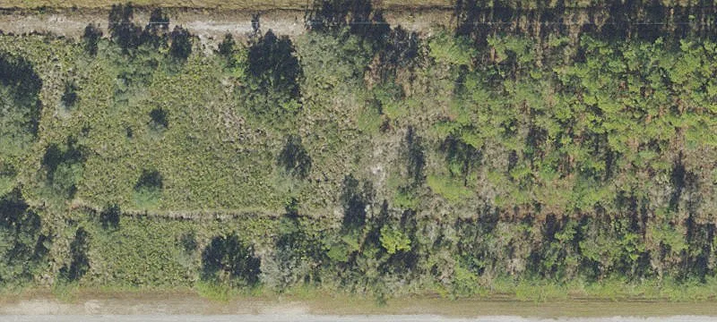 Land