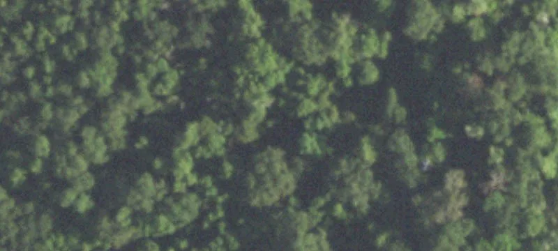 Farm