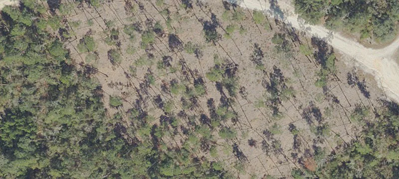 Land