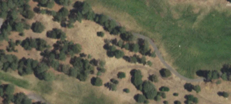 Wooded Gated Acreage with Horse Policy