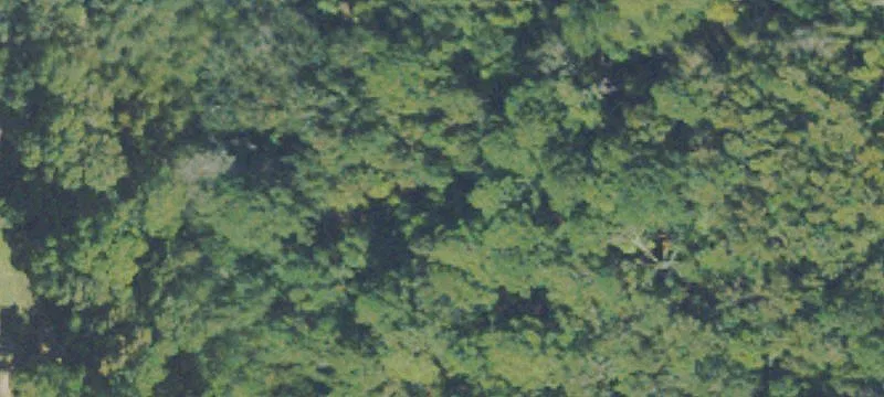 Unimproved Land