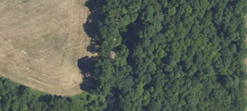 Farm