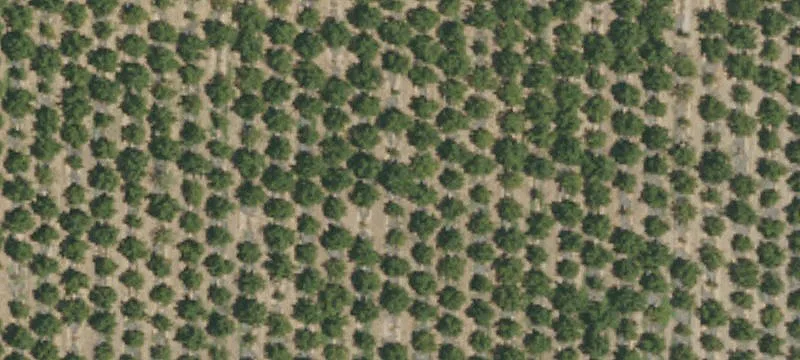 Agricultural Land With Storage Buildings