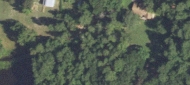 Horse Property with Barn and Greenhouse