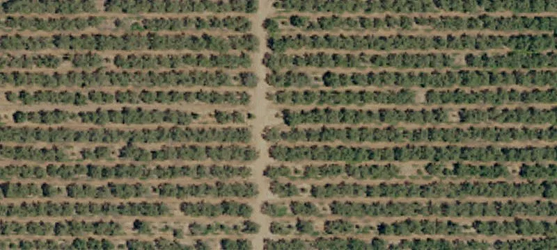 Almond Farm with Irrigation Well