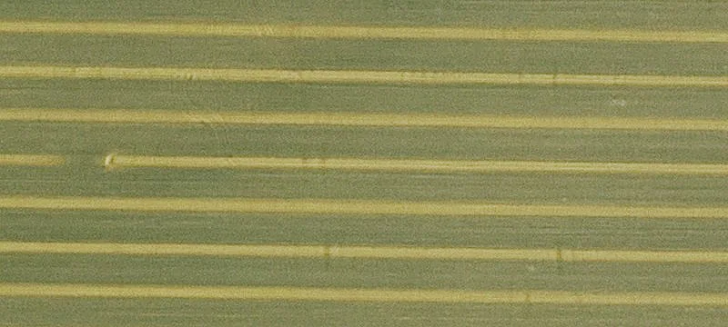 Tillable Agricultural Land with Timber
