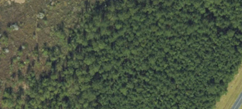 Land or Vacant Lot