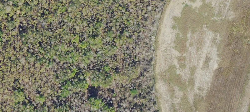 Industrial Land Development Site