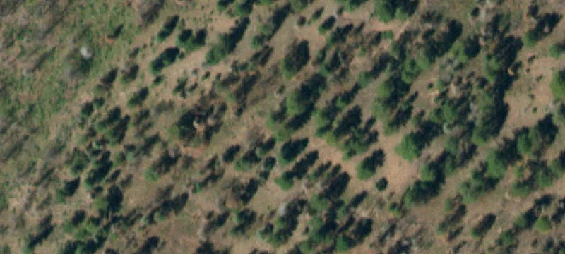 Lots/Land