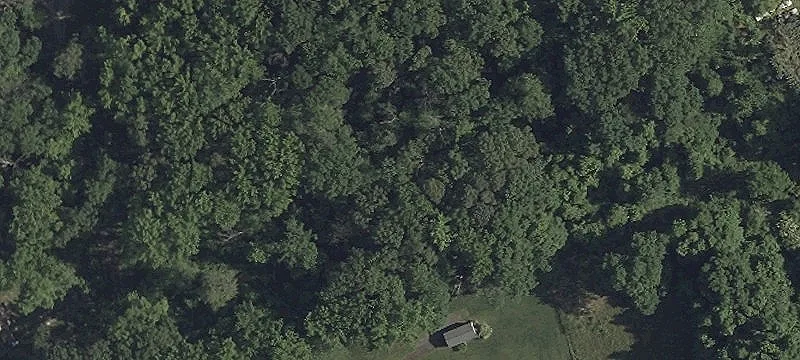 Drive-In Auto Shop
