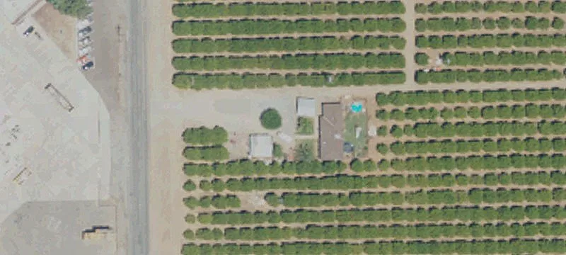 Producing Citrus Farm