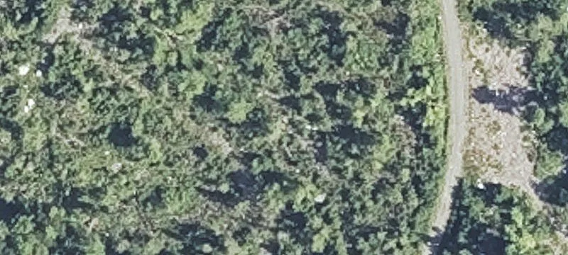 Wooded Off-Grid Land Parcel