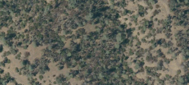 Agricultural Land with Shop