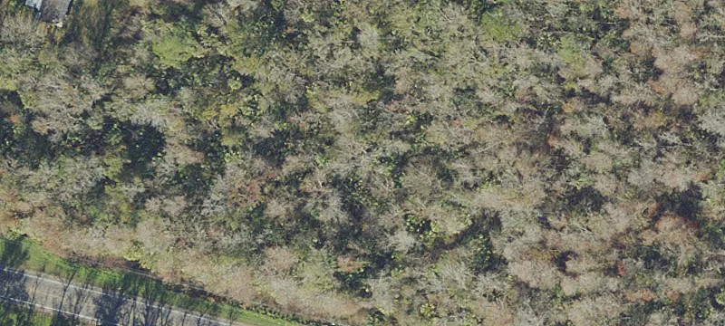 Land