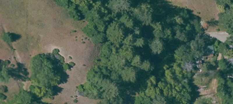 Land or Vacant Lot