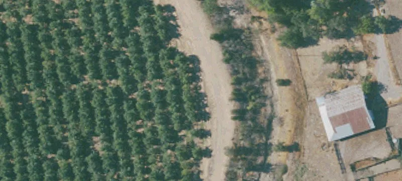 Walnut Orchard Farm