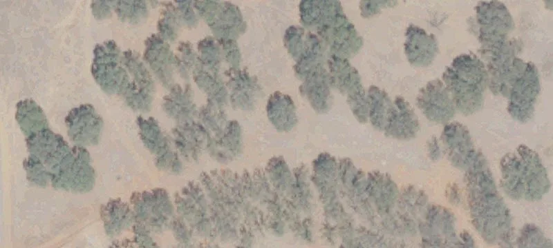 Lots/Land