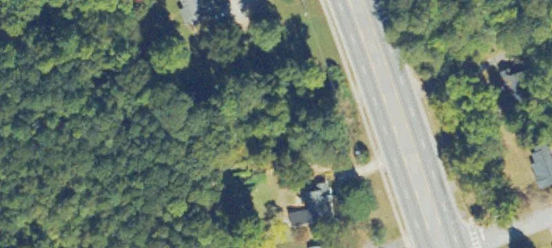 Wooded Commercial Land
