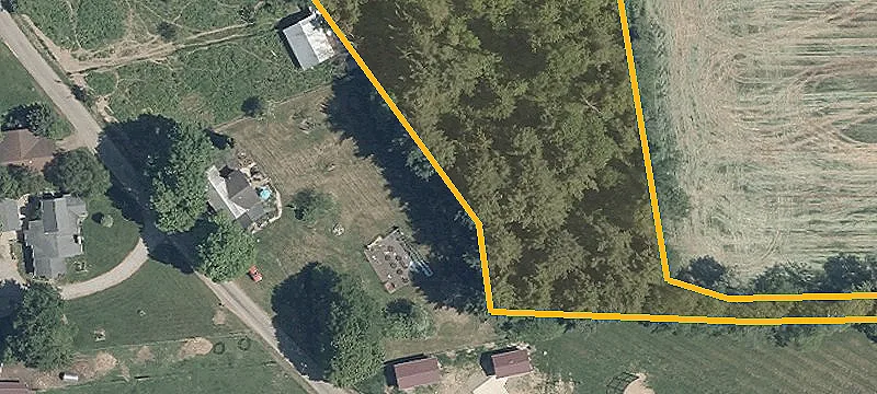 Wooded Hunting Land