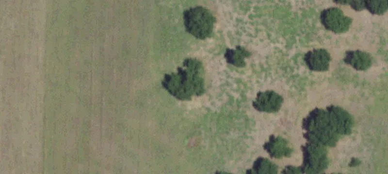 Barndominium Farm Property
