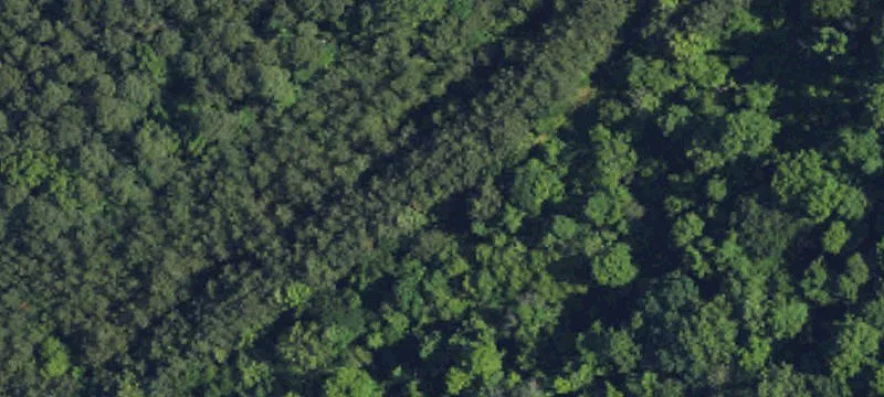 Corporate Campus Commercial Land