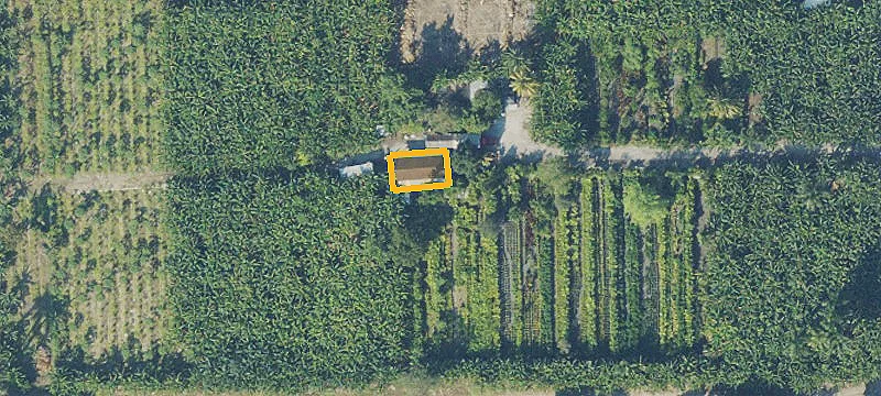 Fenced Agricultural Grove