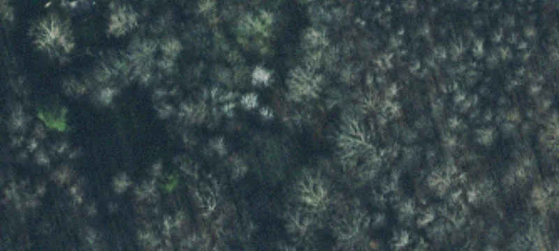 Vacant Land / Lots