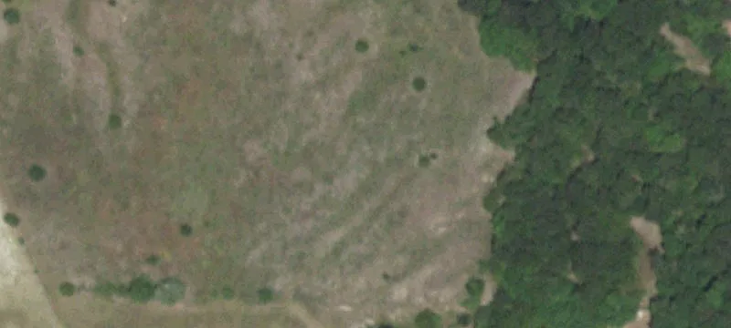 Fenced Agricultural Land