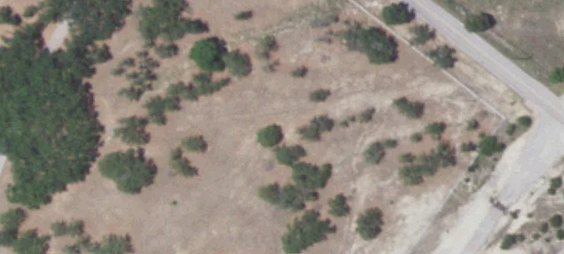 Modern Equestrian Farm