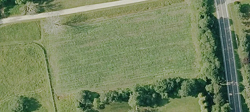 Land or Vacant Lot