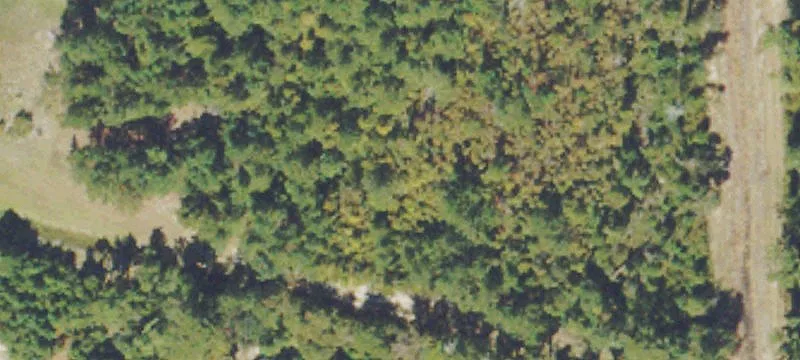 Utility-Connected Land