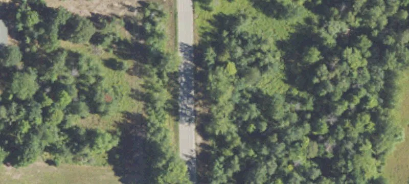 Managed Hunting Land with Living Quarters